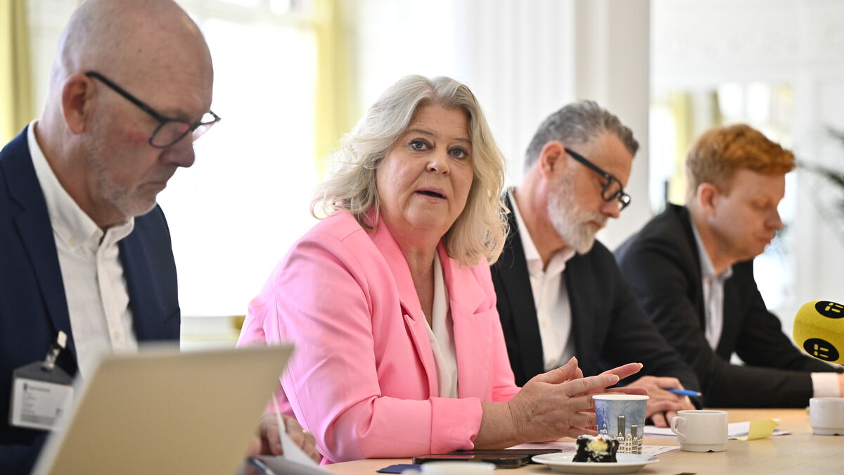 56 HVB youth homes and supported housing in Sweden closed in 2024 after being deemed inappropriate