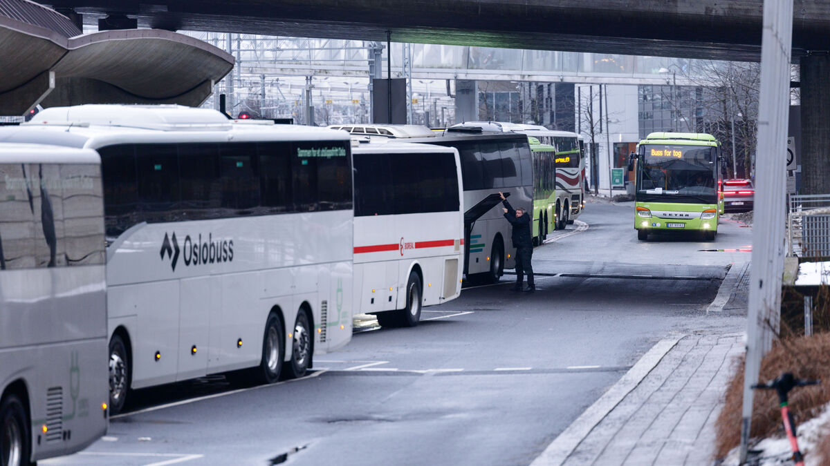 Teenager stole bus and drove
