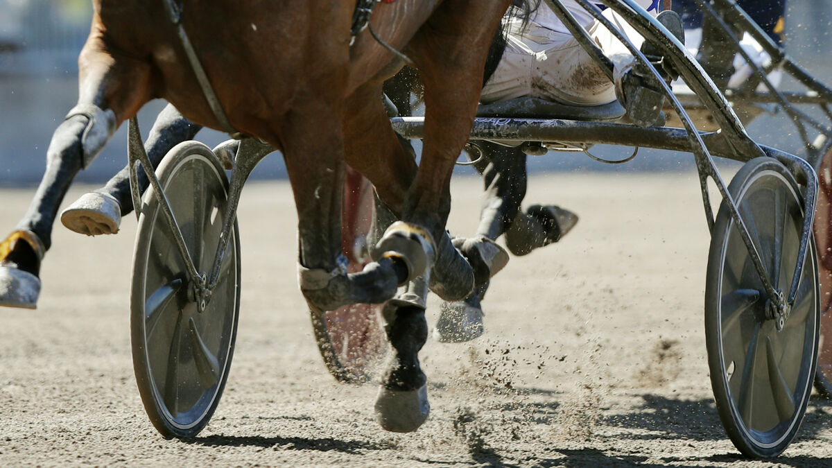 Maria Törnqvist suspended for 18 months after horse whipping case