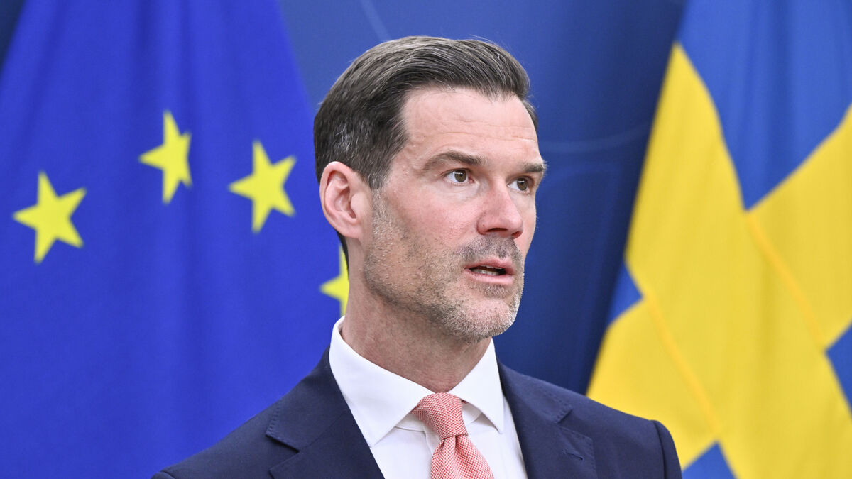 Forssell hopes to deport 155 convicted Syrians from Sweden