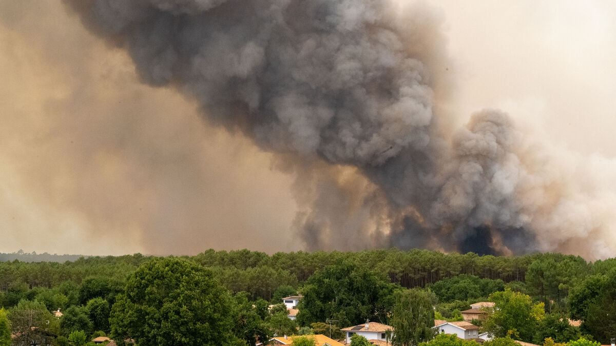 Thousands flee French wildfires as Swedish couple rush to their home in Carcès