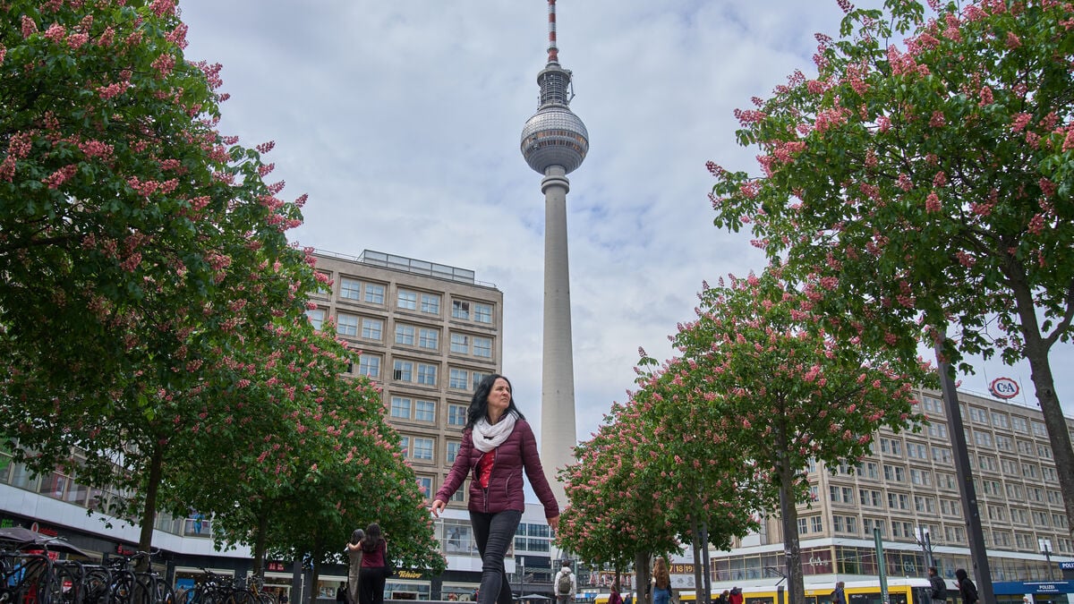 German business sentiment improves as