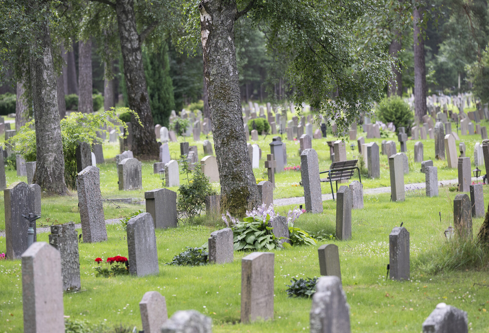 Thousands of Graves Threatened as Climate Changes