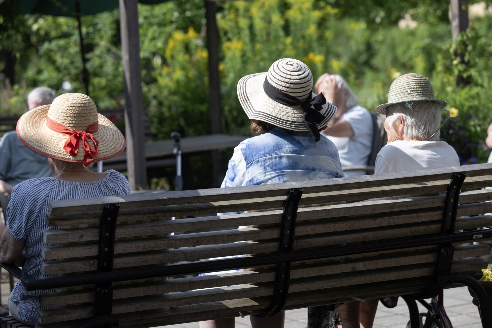 Elderly Swedes Face Limited Access to Outdoor Spaces in Nursing Homes