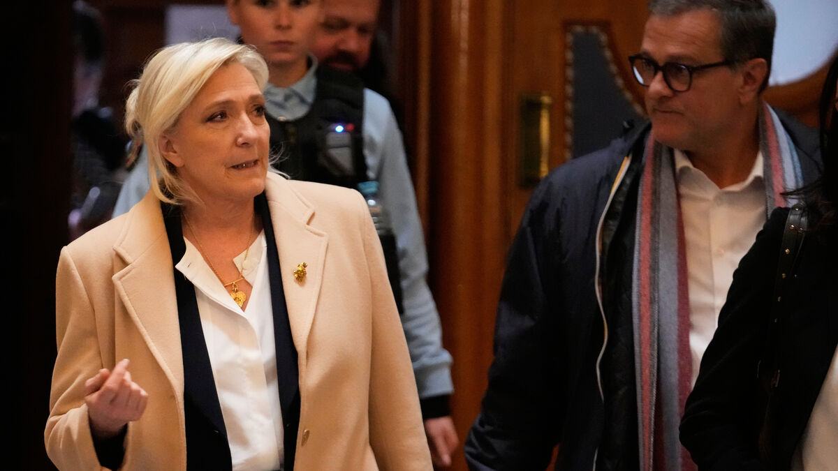 Le Pen says she will