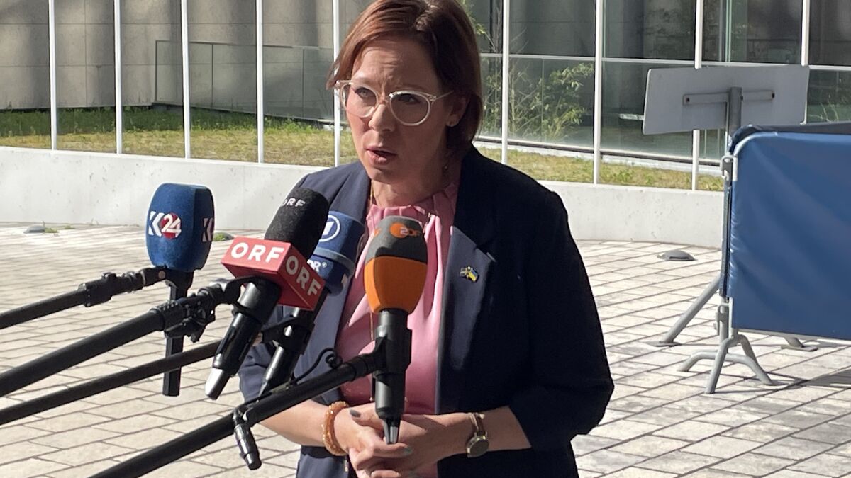 EU foreign affairs chief promises sanctions proposal against Israel