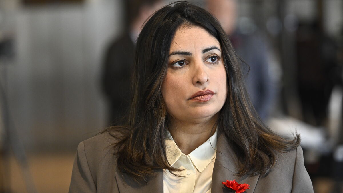 Left Party after the parliamentary brawl: The vote must be retaken