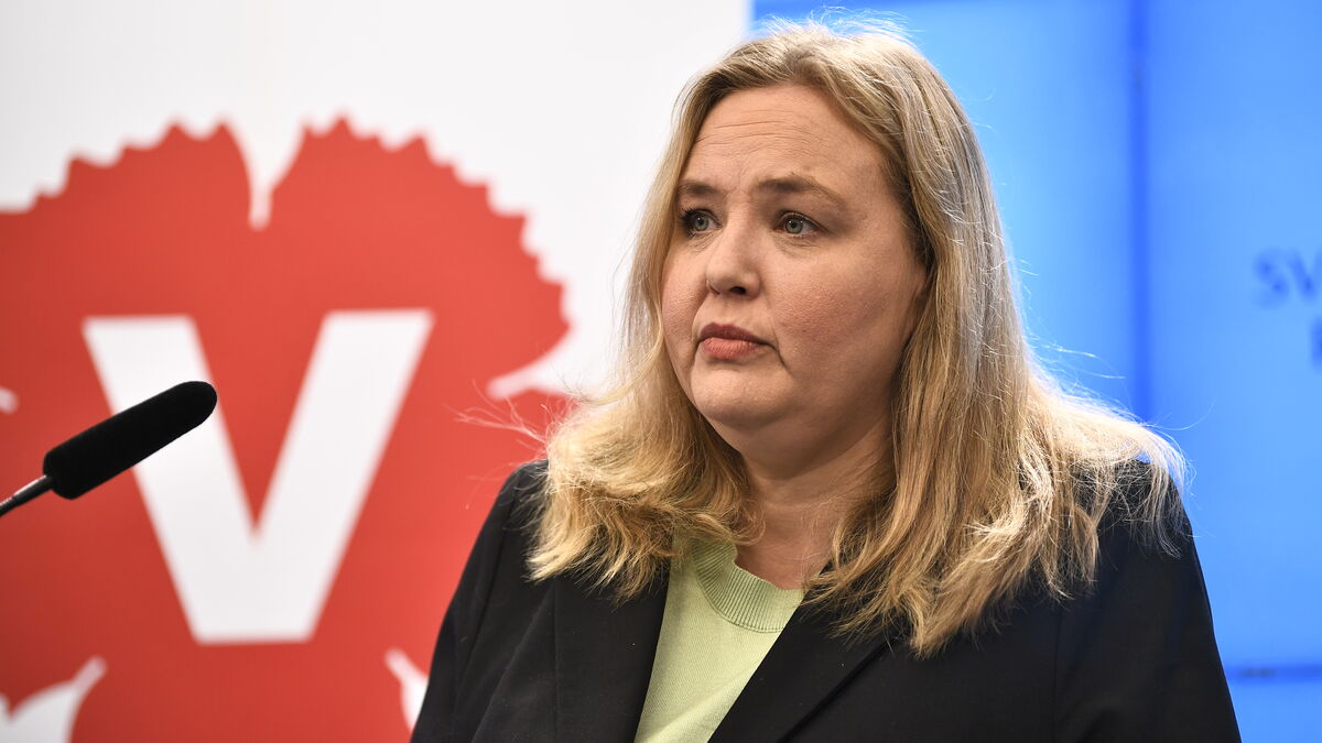 View of Left Party: Investigate state property tax on expensive villas | Sweden ...