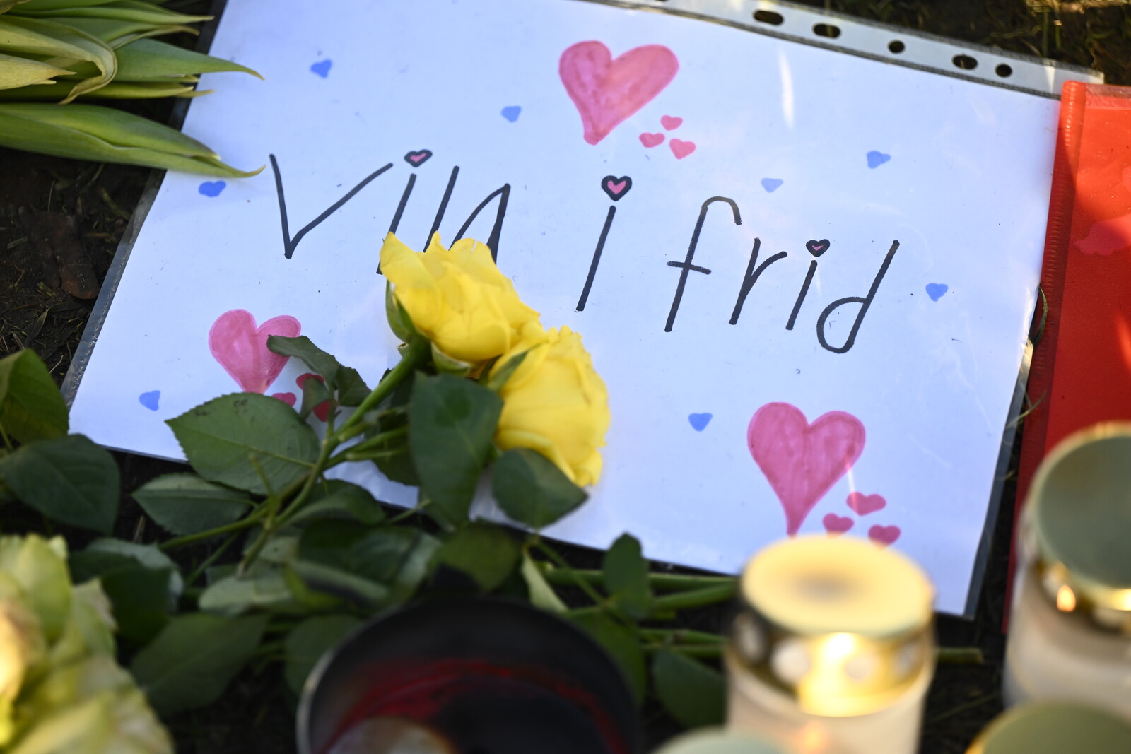 Identification of the deceased in