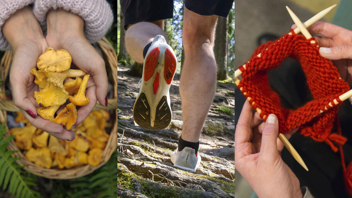Young people's exploration: Coziness in all forms next year
