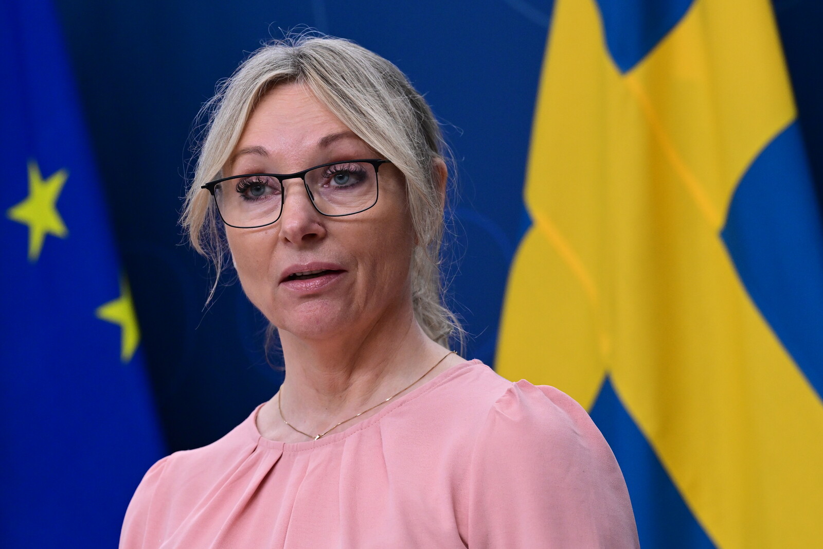 Åkesson Urged to Dismiss Stegrud Over Controversial Filming