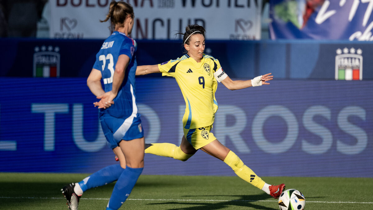 Sweden's World Cup qualifiers on