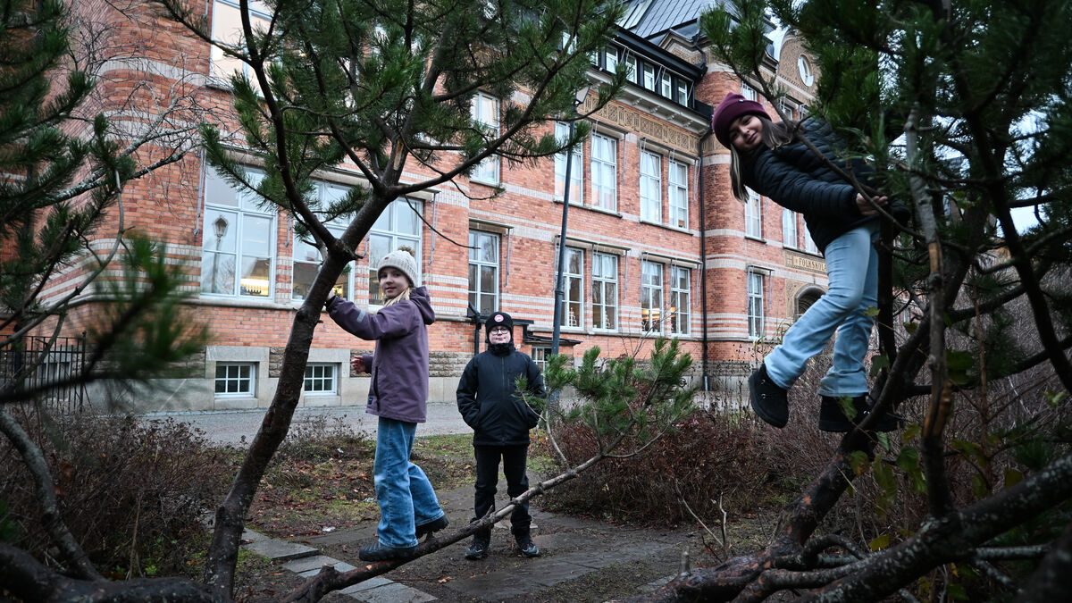 In Västerås, half of the