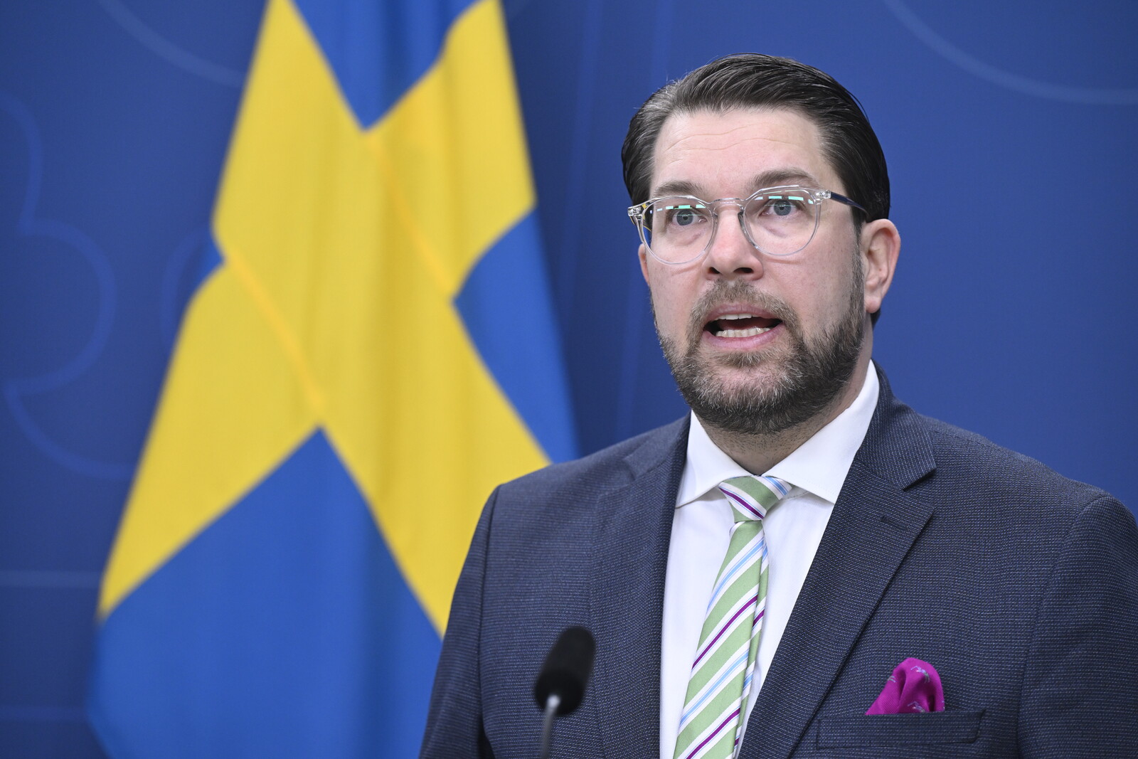 Åkesson Criticizes Swedish Government's Stance