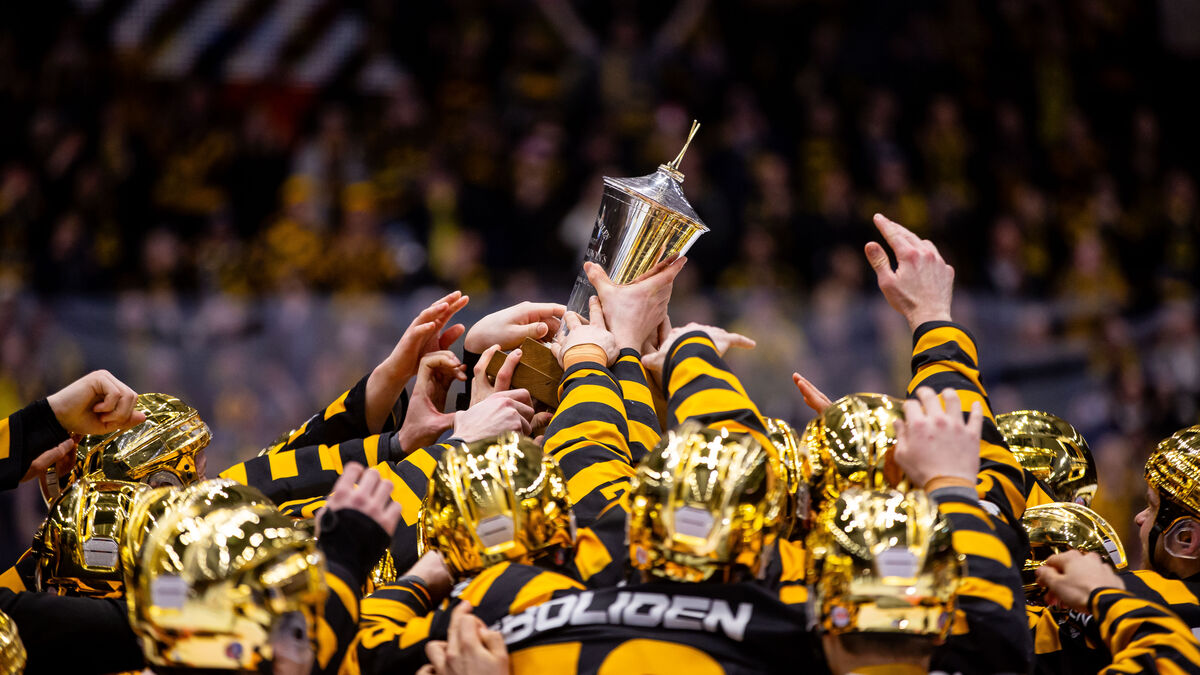Guide: Baby boom ahead of Swedish Championship gold hunt as Skellefteå faces Rögle