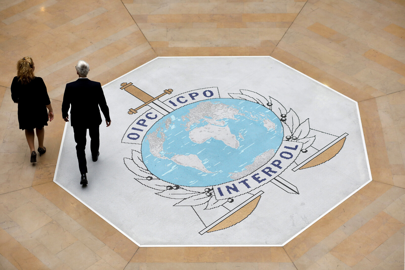 Interpol's Major Cybercrime Crackdown in