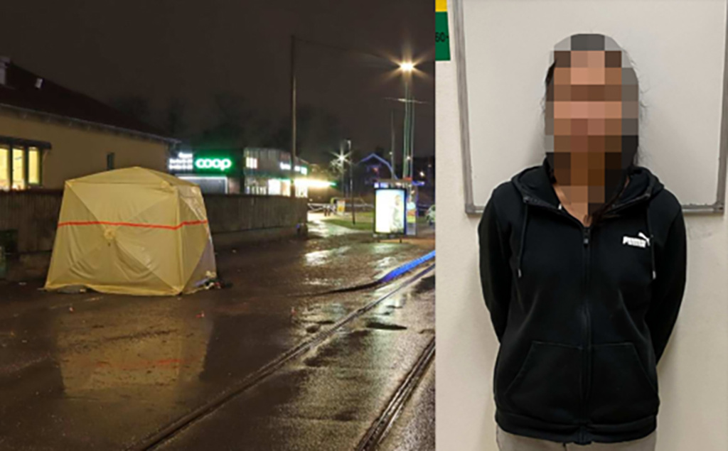 Woman acquitted of gang murder – but convicted of attempted | Sweden Herald