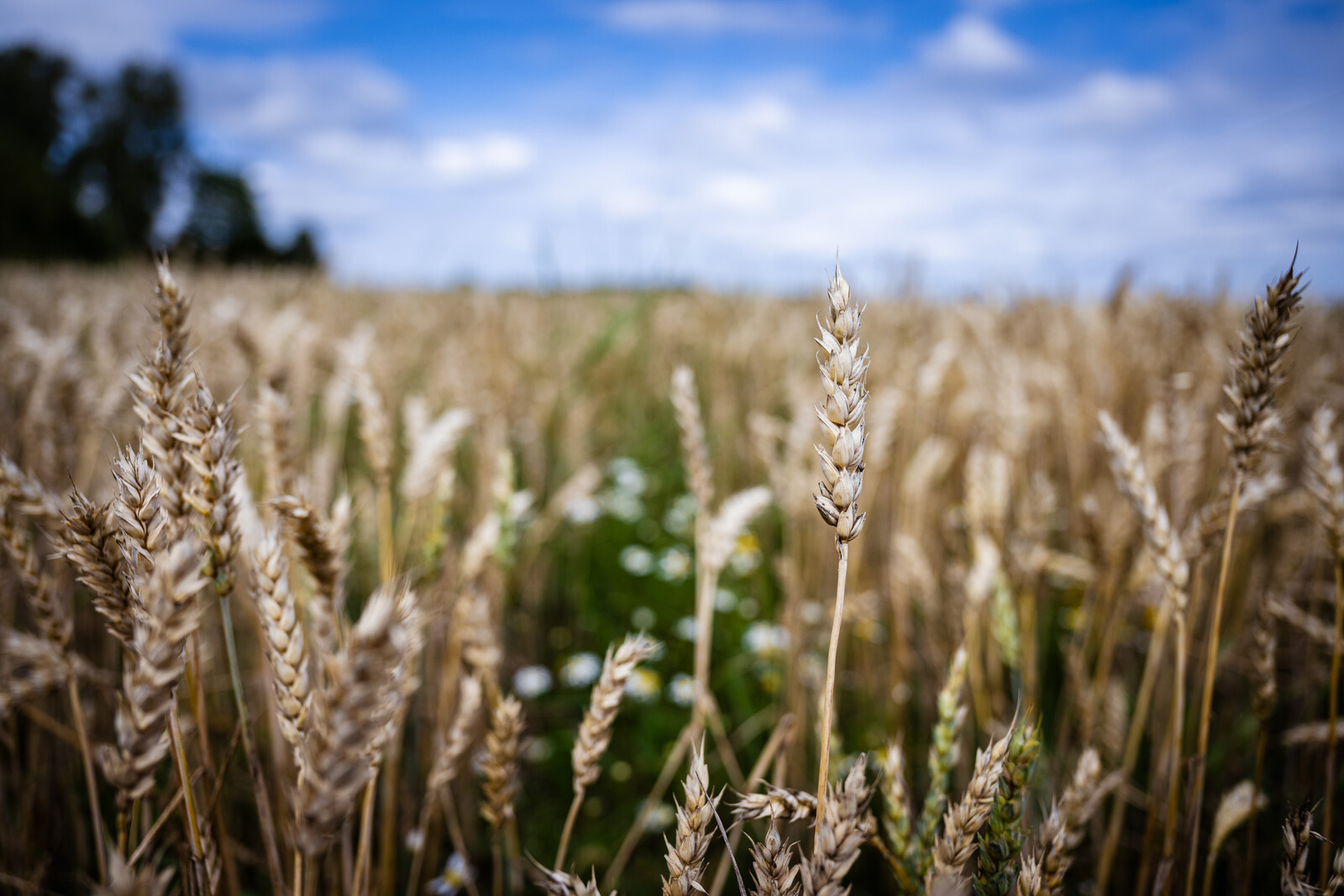 Farmer-owned company achieves new top result.