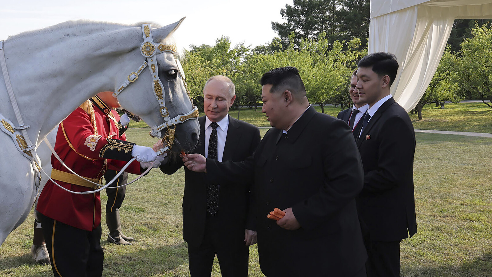Parts in North Korean robot
