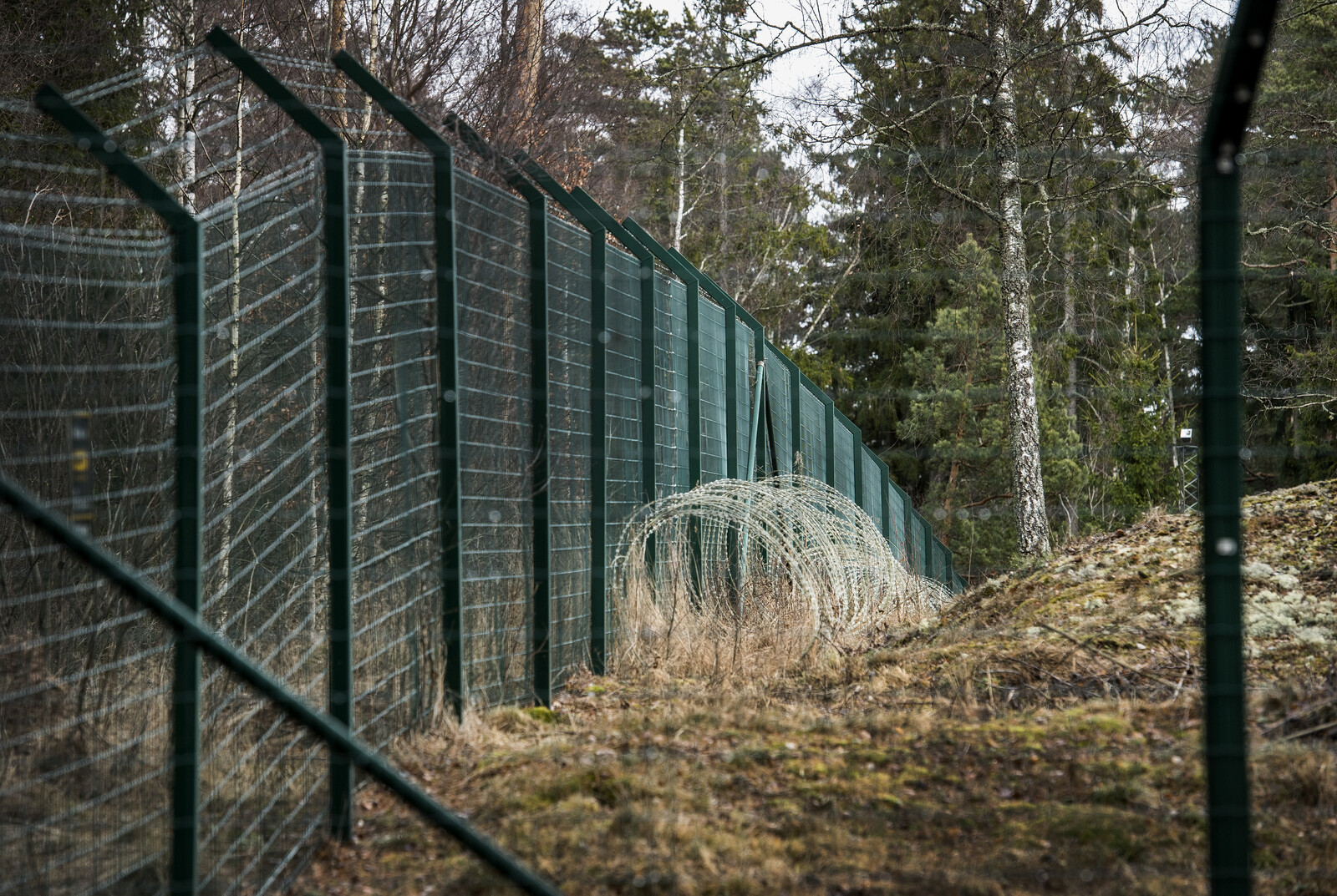 Report Highlights Failures in Sweden's Treatment of Detained Children