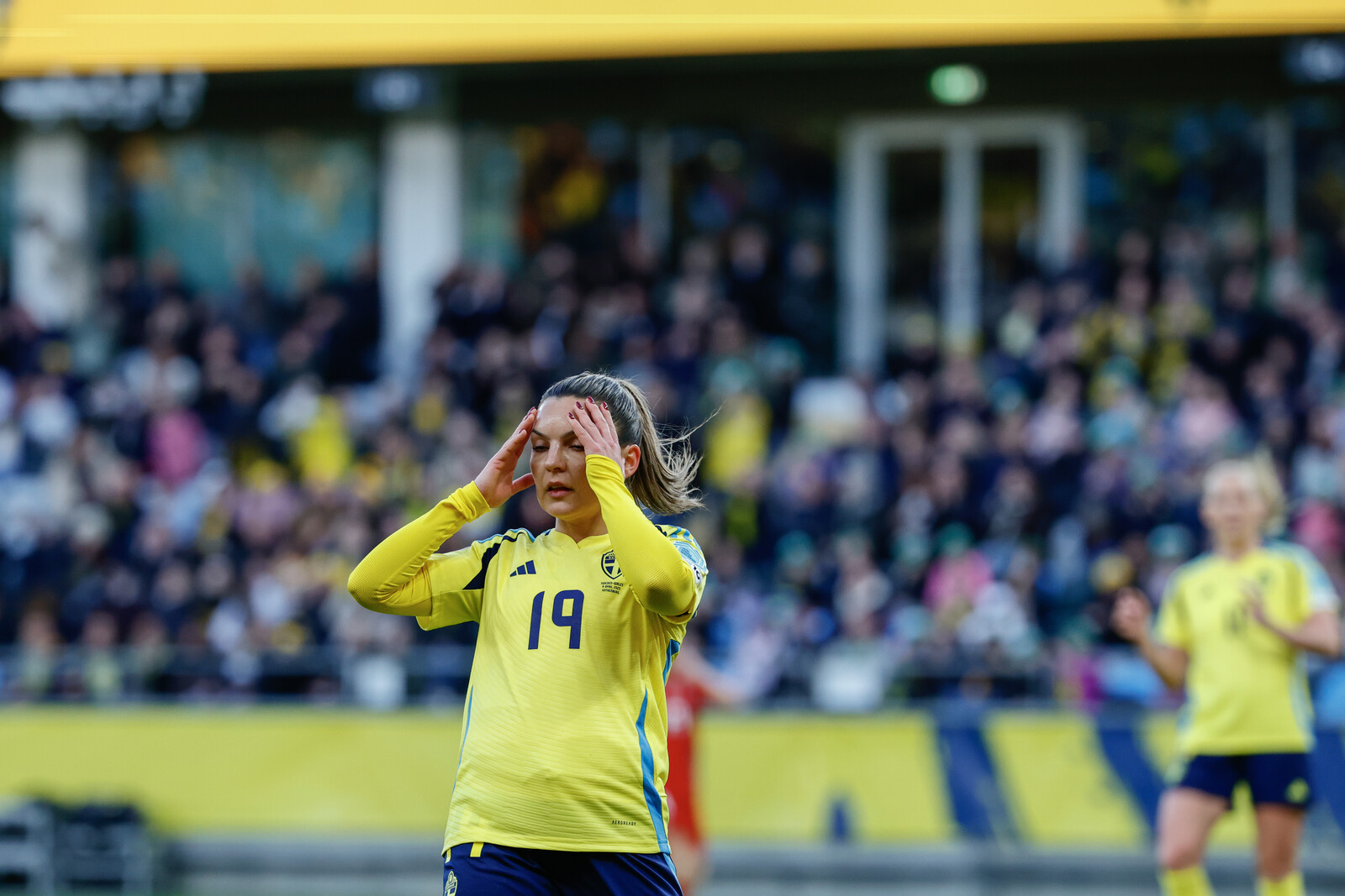Sweden Frustrated by Another 1-1