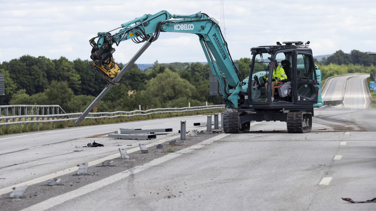 Pigeon caused crash on E22,