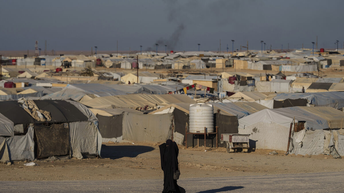 Syrian army enters giant al-Hol