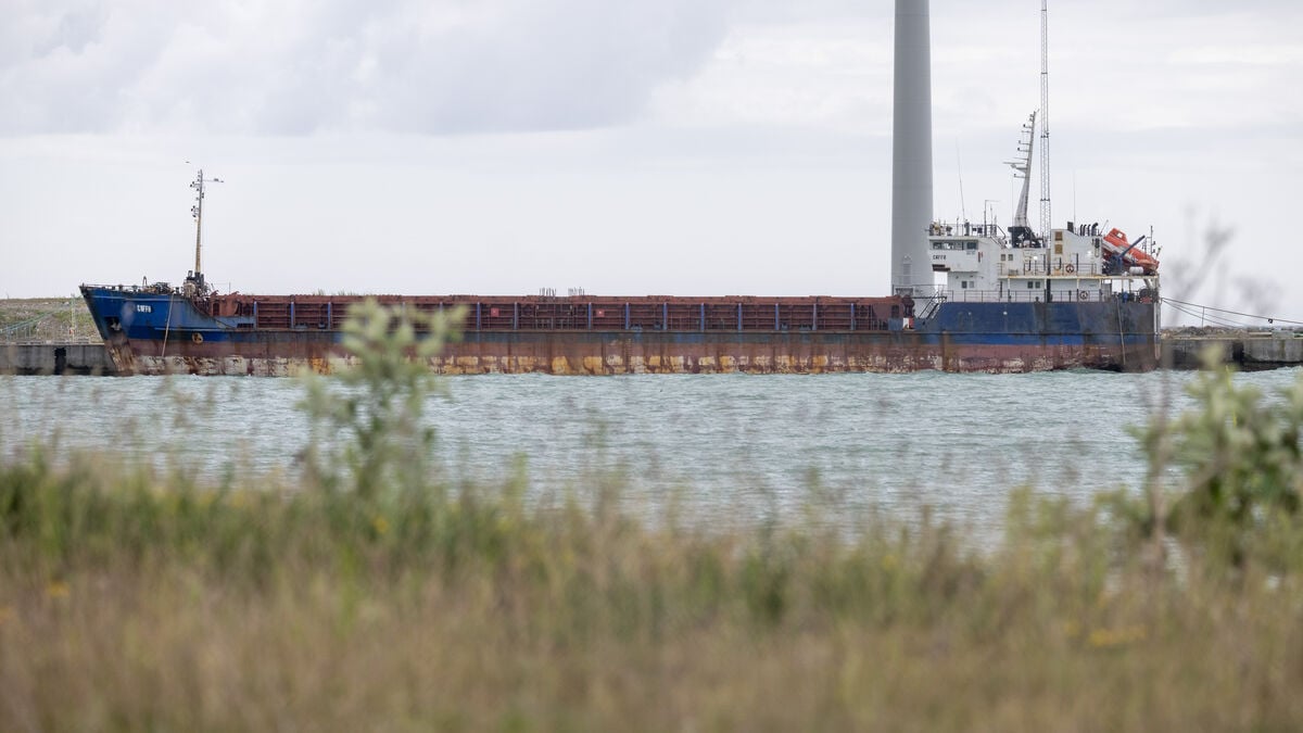 Seized ship Caffa can be handed over to Ukraine after Supreme Court ruling