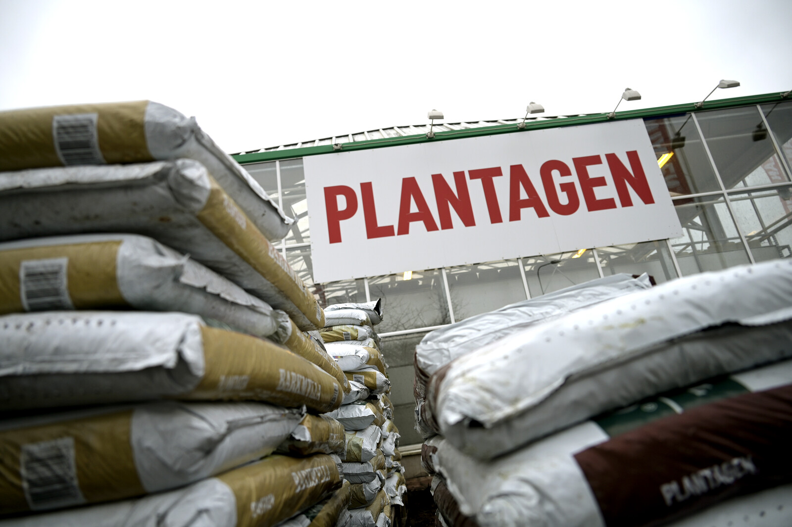 Court Approves Plantagen's Reconstruction