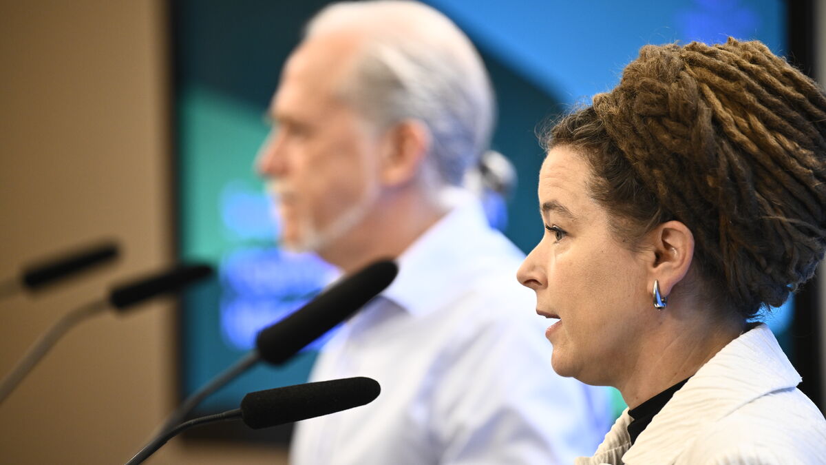 Green Party vows to restore