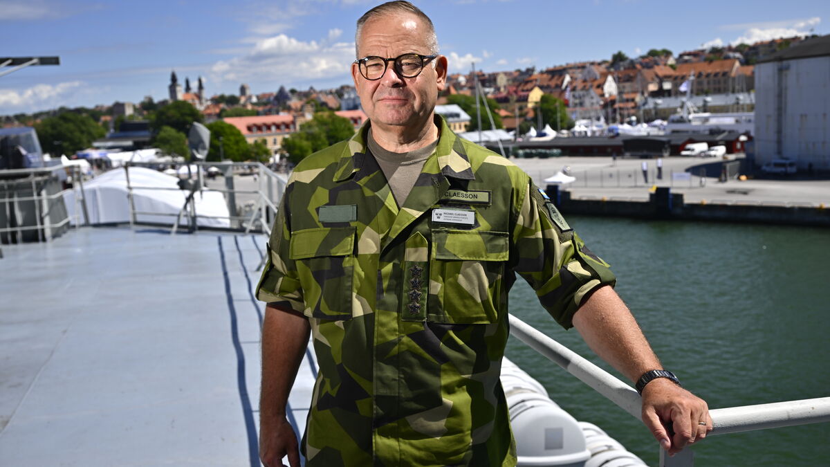 Sweden Could Take on Bigger Role in NATO Defense, Top Commander Says