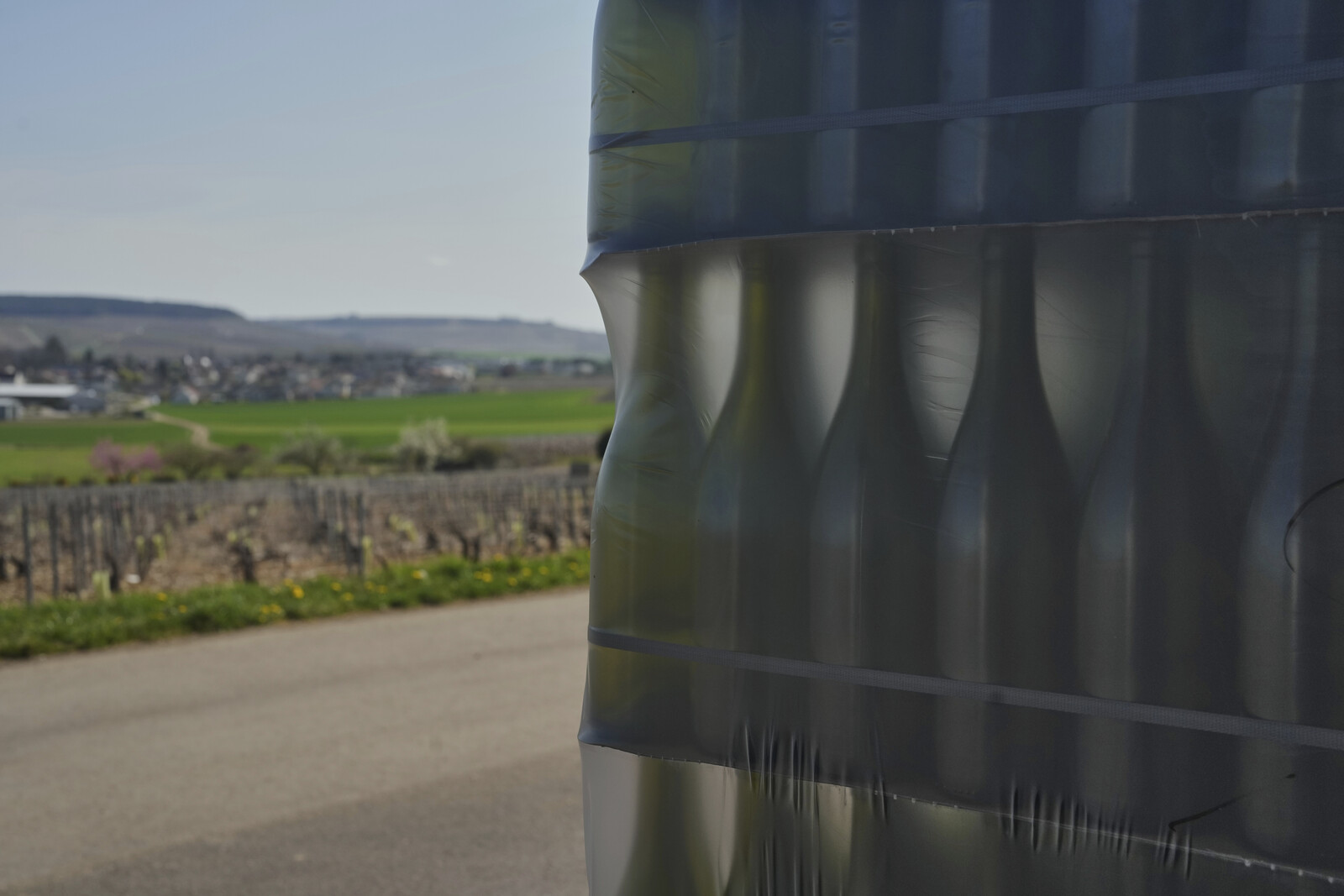 French Wine Production to Rise by 17 Percent in 2025