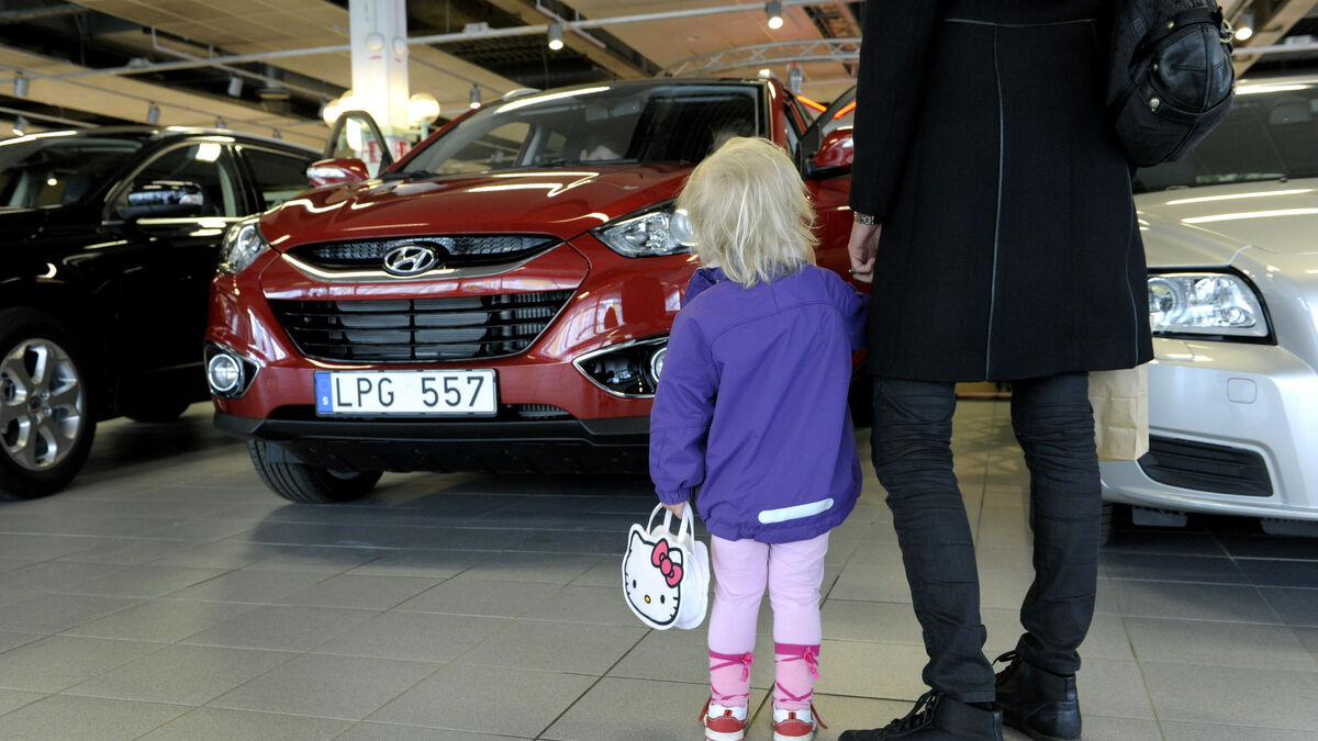 Chinese electric cars lag in Sweden as tax rules weigh on sales