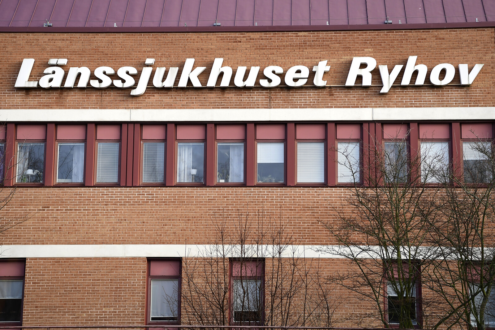 Hundreds of Children to Undergo