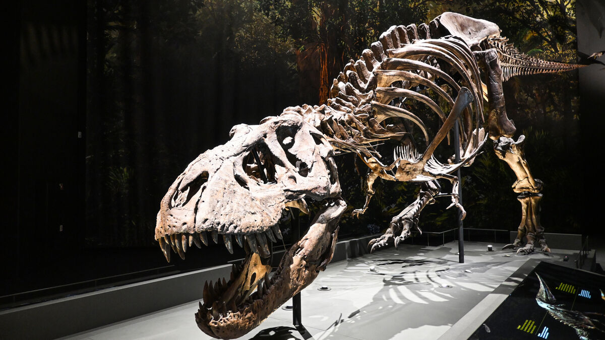 World's first T-rex leather bag