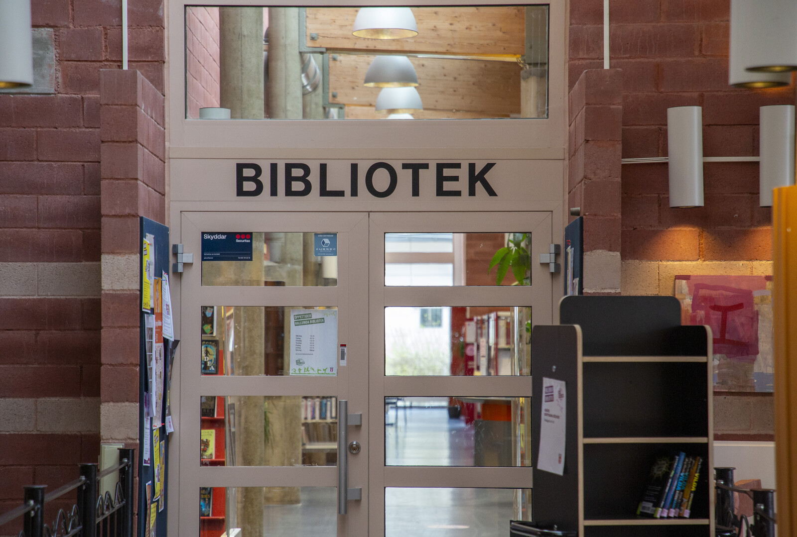 Libraries Struggle as Social Services Demand Grows, DIK Report Finds