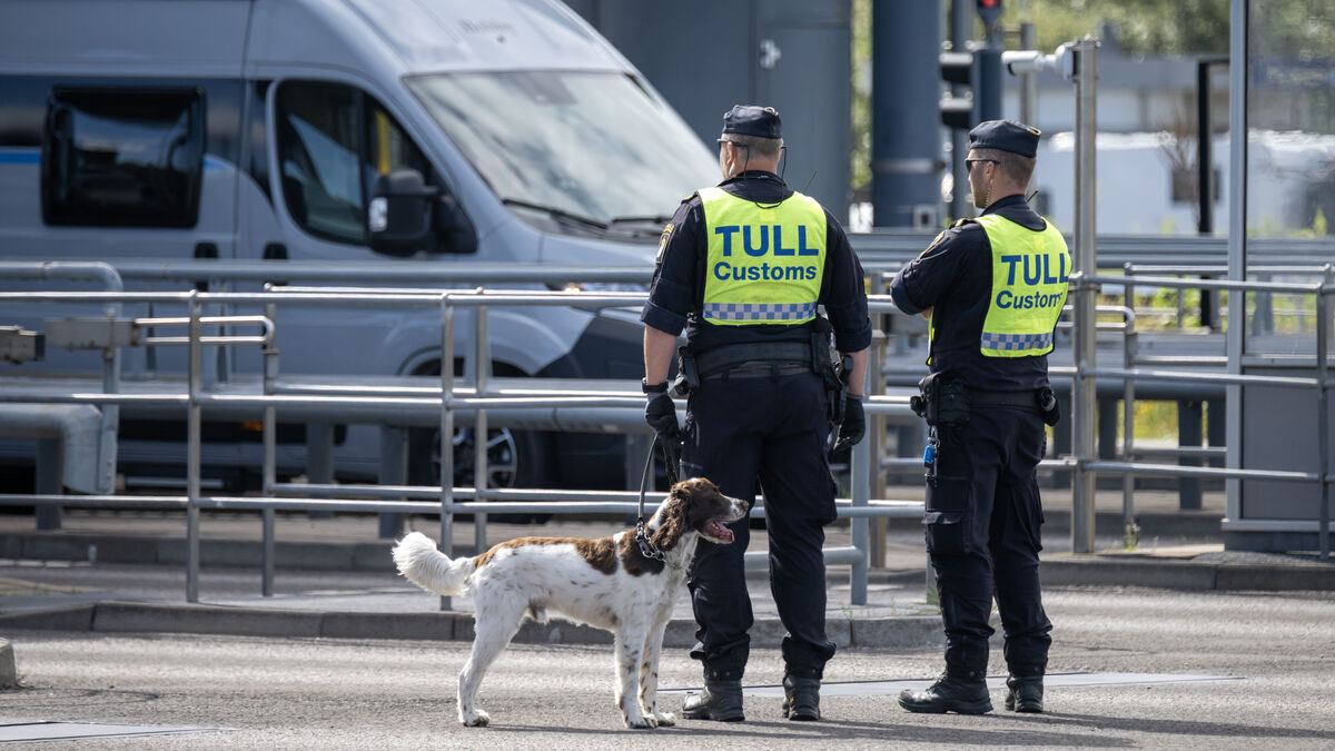 Swedish Customs to Get New Power to Seize Assets From Debtors at Border