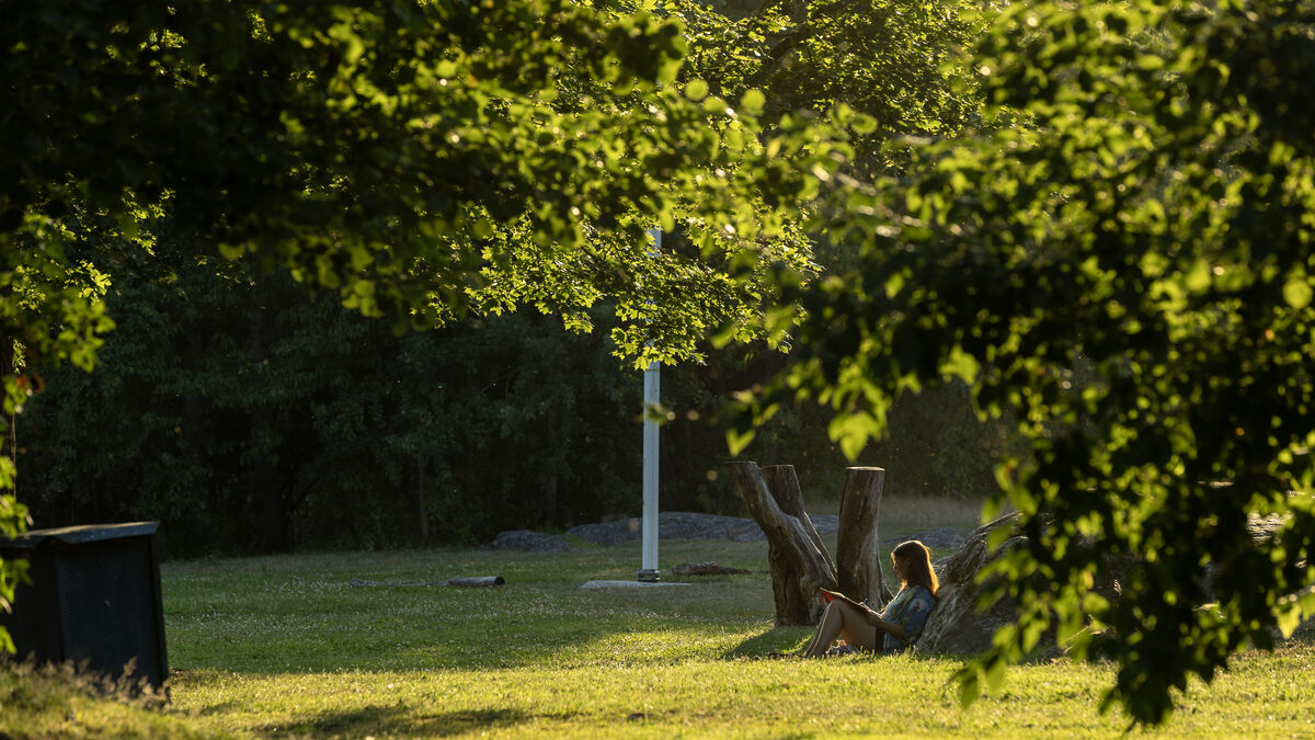 How to beat summer loneliness with culture: films, books and art to watch and read