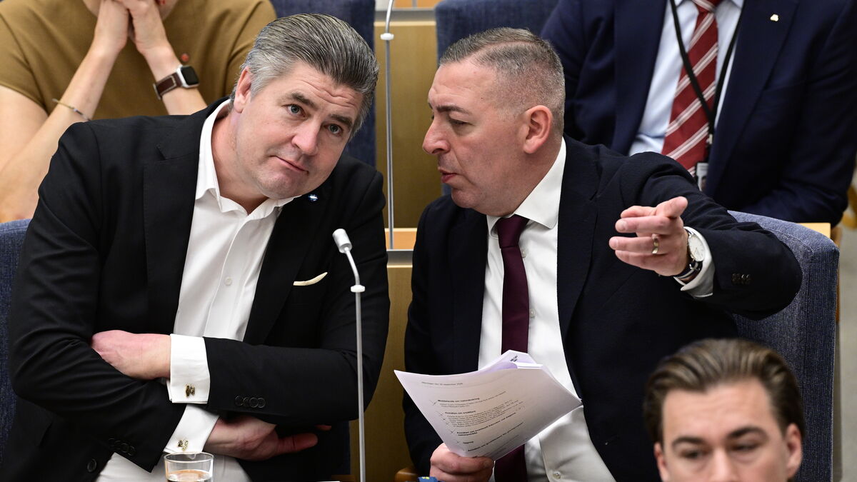 Sweden Democrats Want to Delay