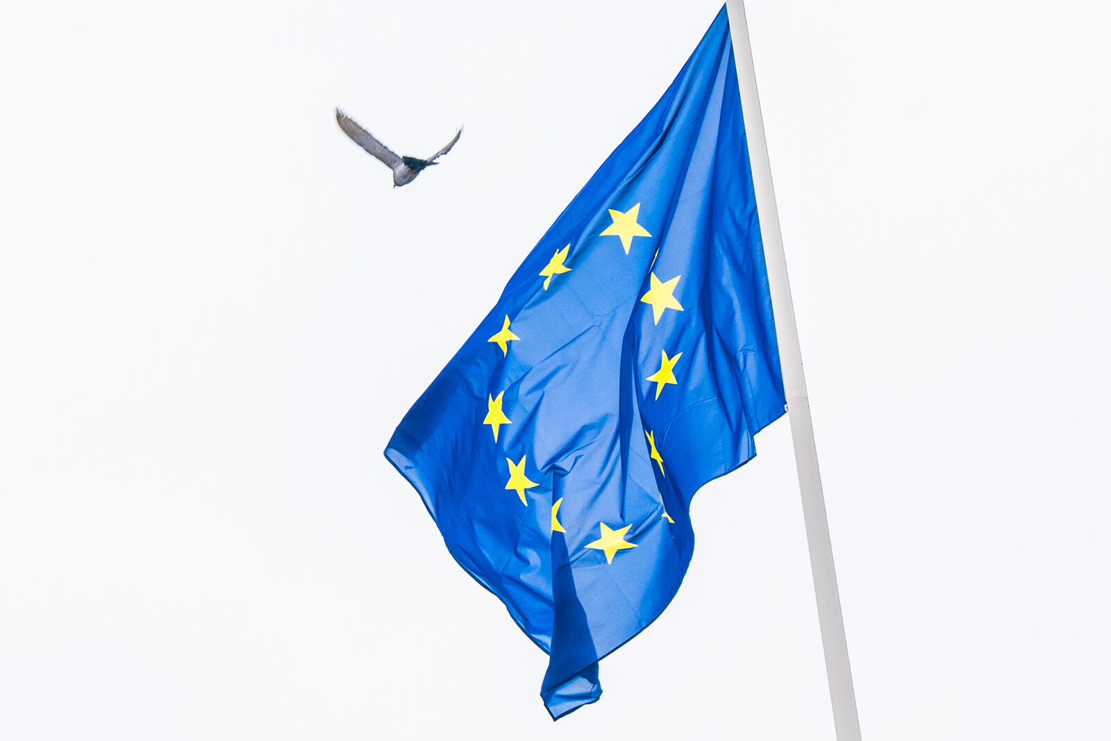 Euro Area GDP Growth Surpasses Expectations in First Quarter