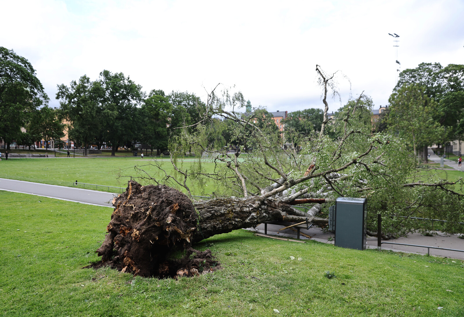 Strong Storm Winds Hit Stockholm