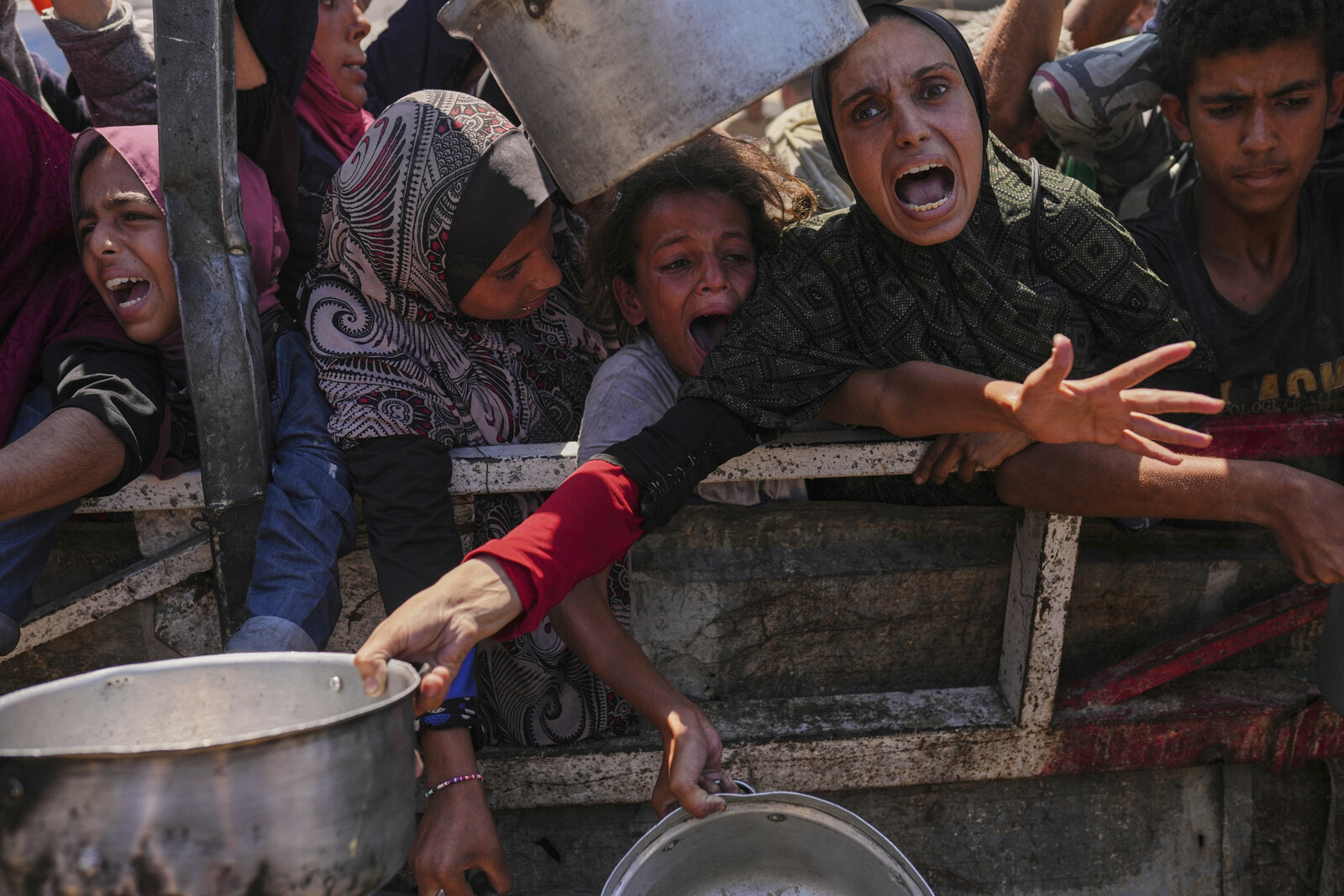 Expert Insights on Ending Starvation