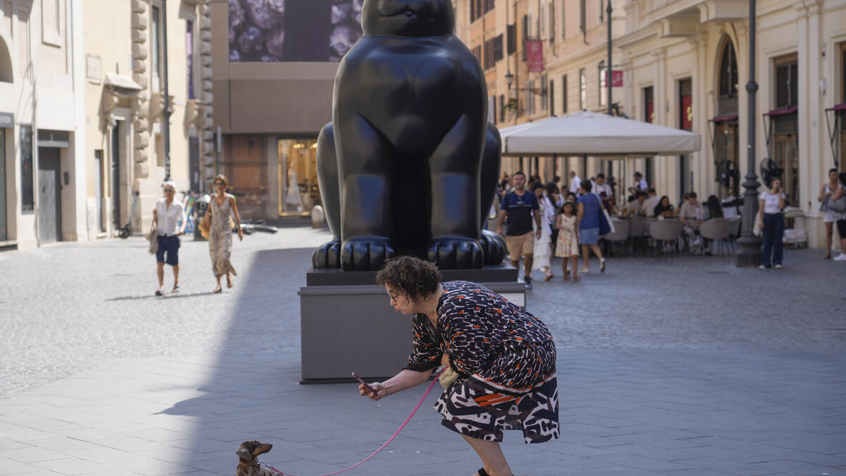 Dog owners in Livorno forced