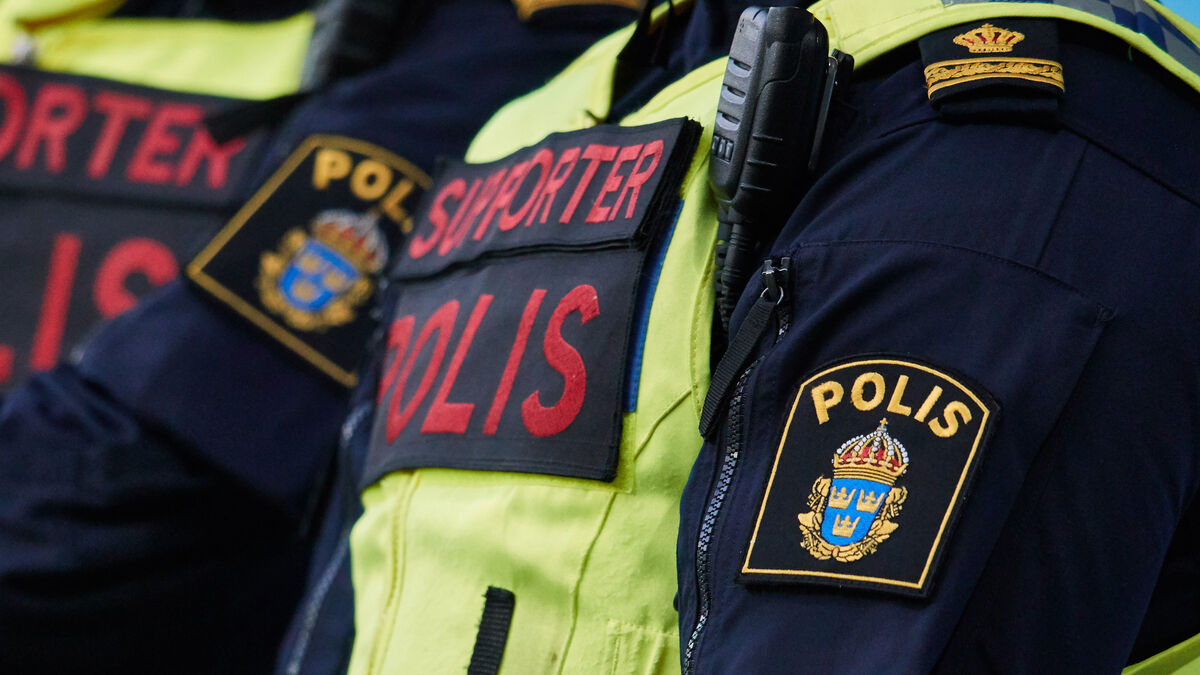 Court Upholds Verdict for Nazi Salute at Swedish Football Match