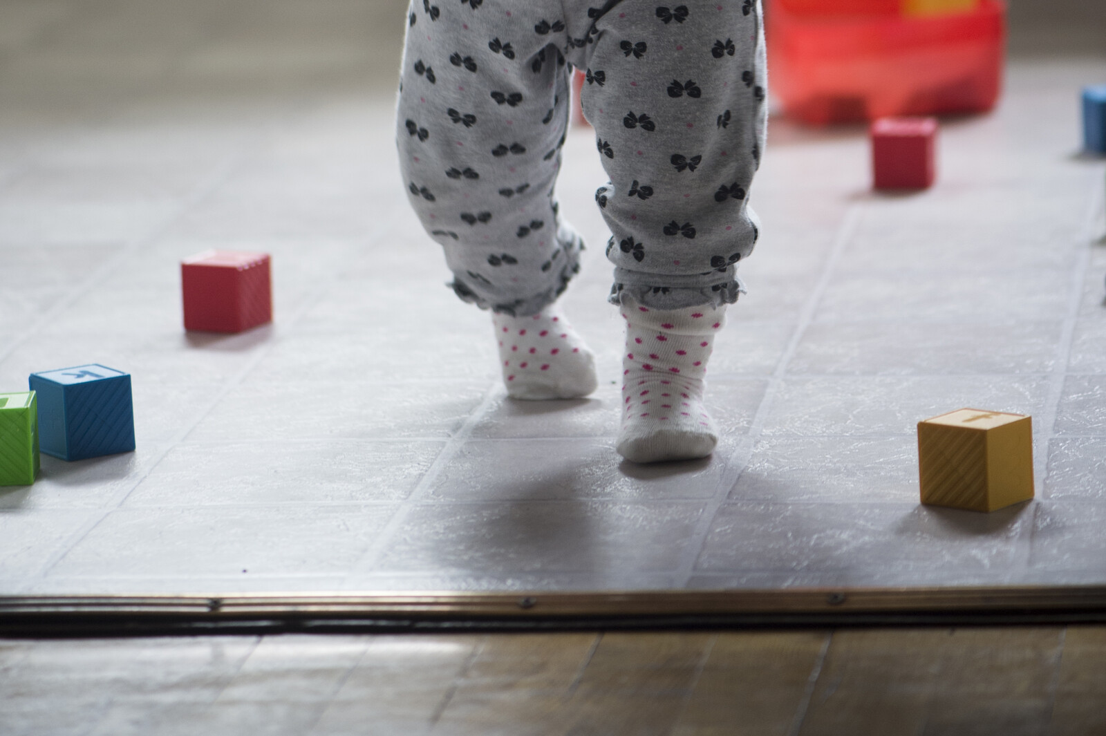 Adopted in Denmark Sue the State