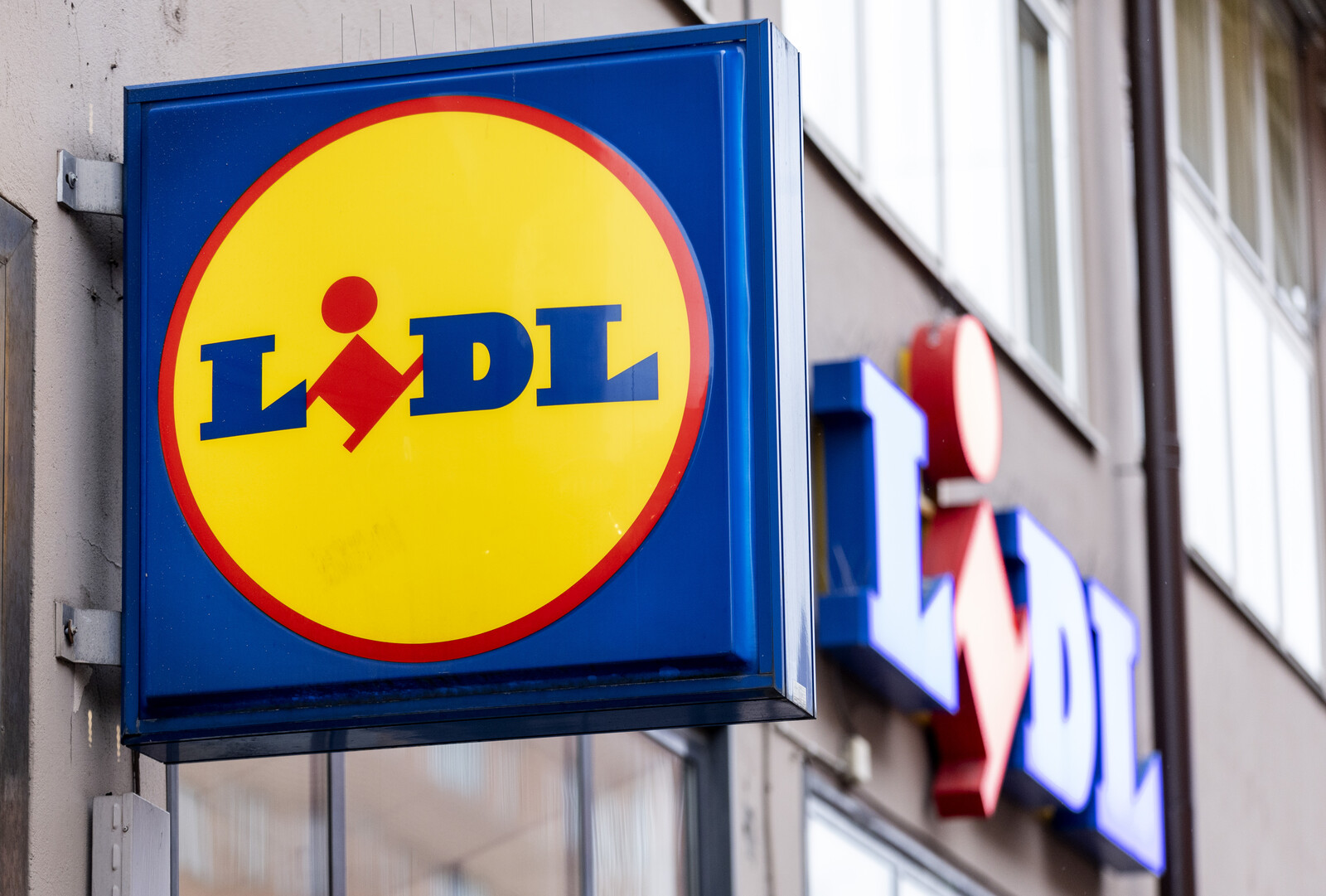 Lidl Sweden recalls dog treats due to salmonella risk