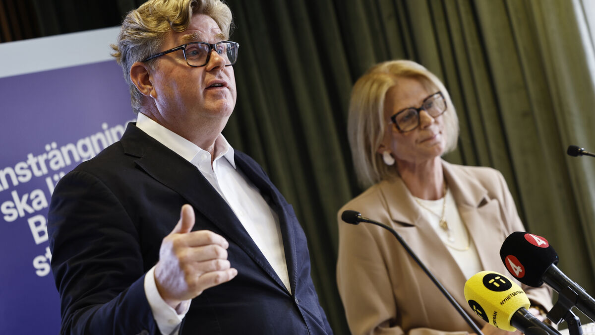 Sweden says full criminal justice reform could be in place by 2029 or 2030
