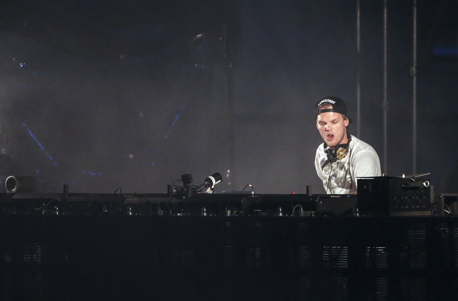 Auction Criticism - Items Alleged Not to be Avicii's