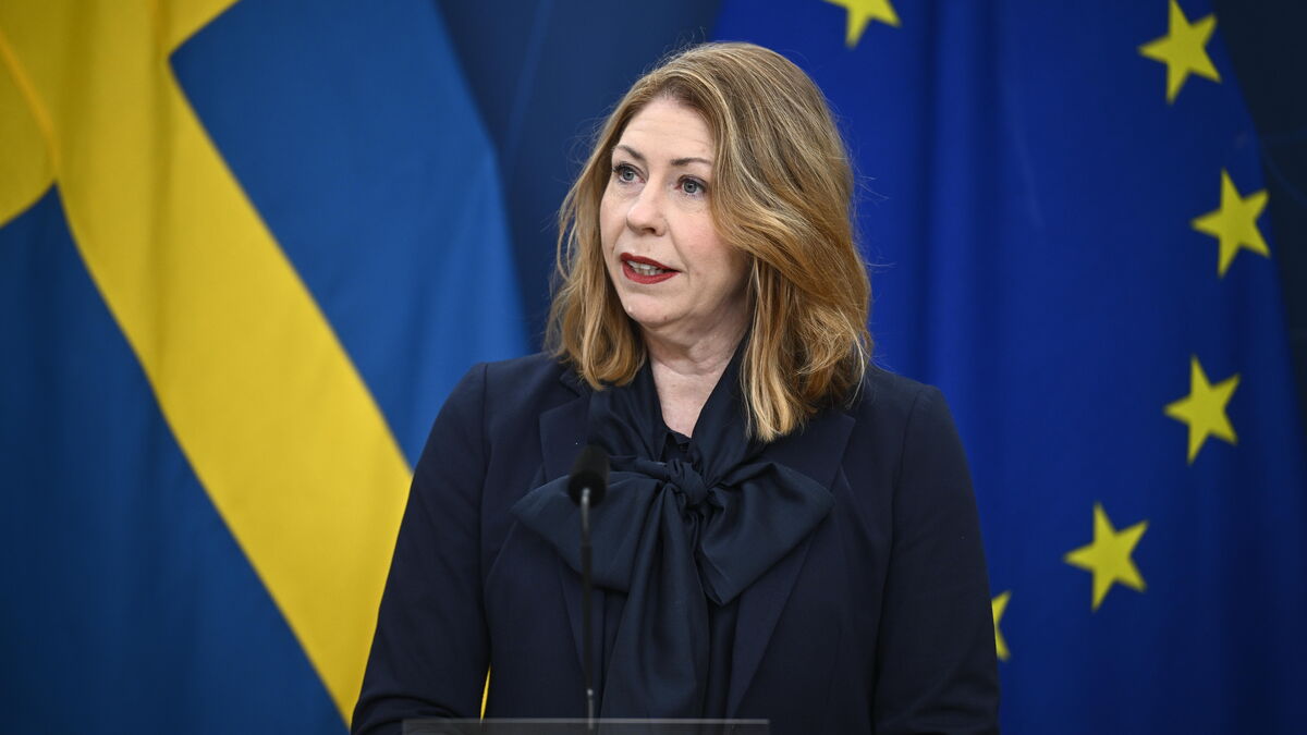 Sweden to send healthcare professionals