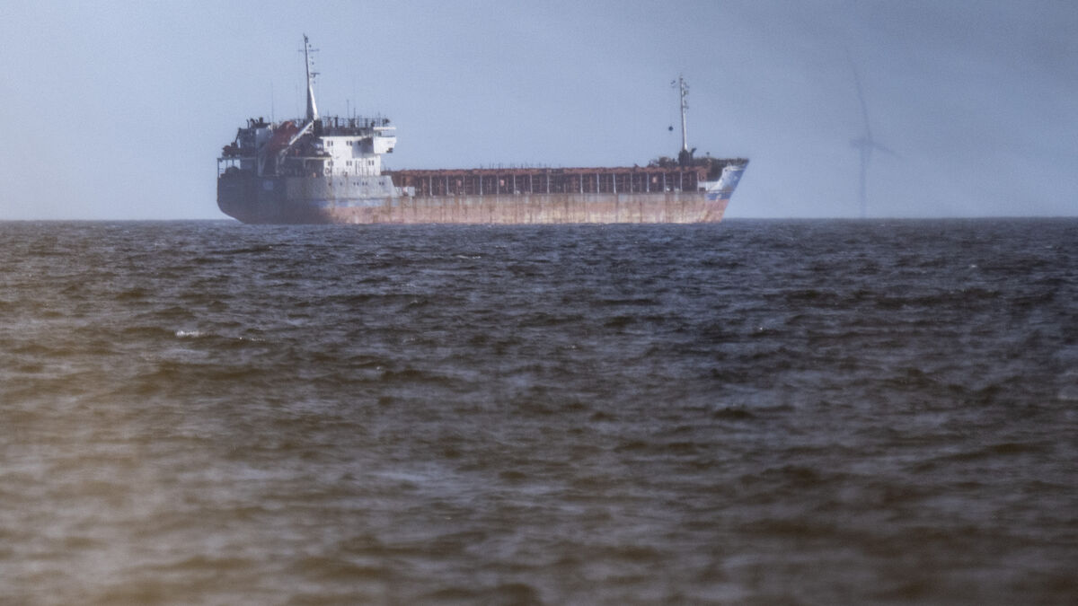 Bulk carrier Caffa boarded off Trelleborg seized after prosecutors' decision